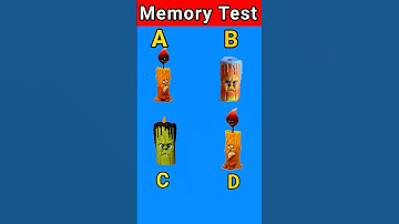 Memory Test Challenge 😇 riddle