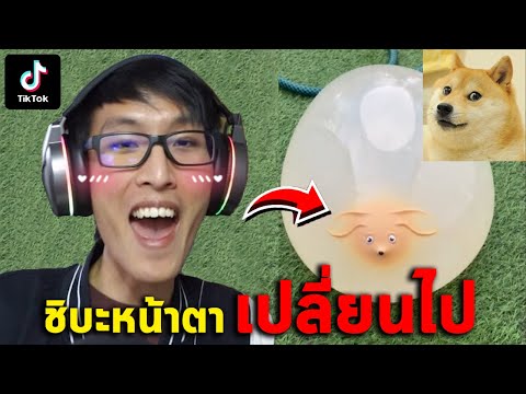 Tiktok ลดน้ำหนักสมอง (เบาสมอง) ลูกโป่งน้องชิบะ EP.1 🤣