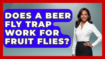 Does A Beer Fly Trap Work For Fruit Flies? - Insects and Invaders