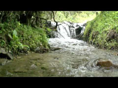 Mountain water stream
