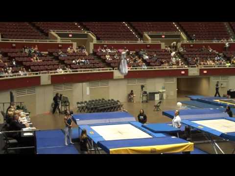 2009 Visa Championships - Senior Men Trampoline Fi...