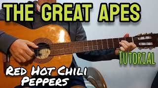 The Great Apes (Red Hot Chili Peppers) - Guitar - Tutorial