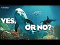 Cetaceans in Planet Zoo 2? Yes, or no?