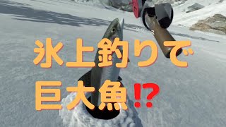【ULTIMATE FISHING SIMULATOR VR】氷上釣りは楽ちんです！ screenshot 5
