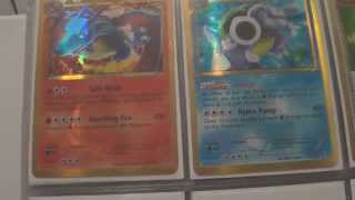 Complete Set Pokemon Plasma Storm