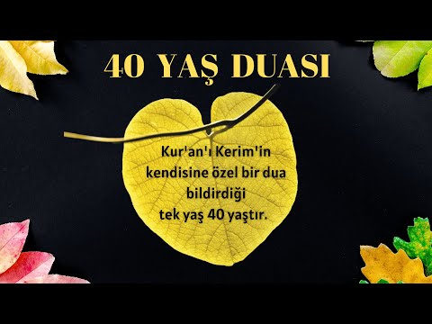 40  