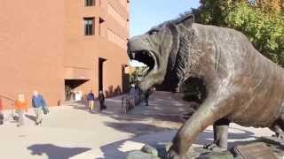 Congratulations! 2015 RIT Accepted Students