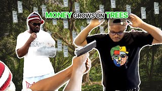 Money Grows on Tree