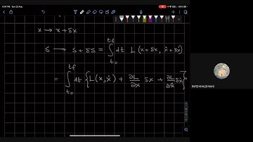 QM III L17V4: The Euler-Lagrange Equation