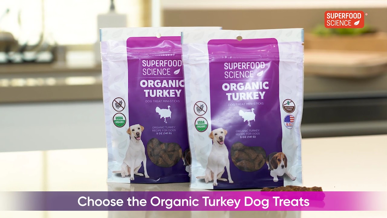 Superfood Turkey Dog Treats: These Mushroom Turkey Dog Treats Help Keep Pets Healthy and Fit!