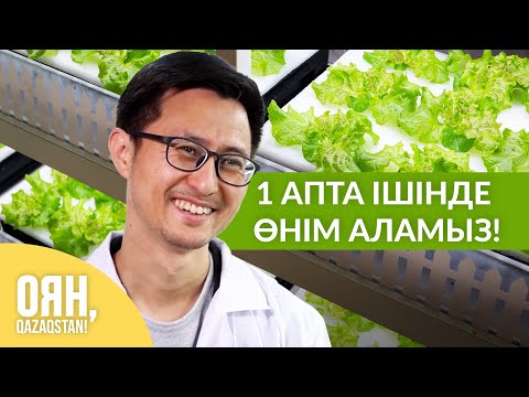 Бейне: Техастағы шөптерді өсіру – Техастың жылуды жақсы көретін жазғы шөптері