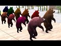 Wild Animals Are Transformation Into Farm Animals Through Magical Water Source Cartoon For Children 