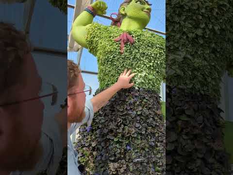 Wideo: Epcot International Flower & Festiwal Ogrodów: Kompletny przewodnik