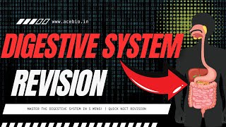Digestion and Absorption Revision | Complete Chapter for NEET