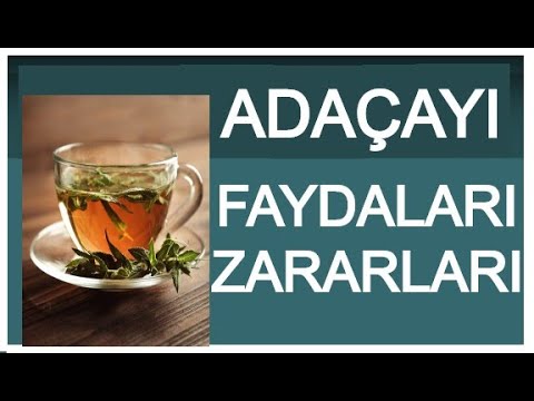 Video: İyrənc Adaçayı öd Kisəsi