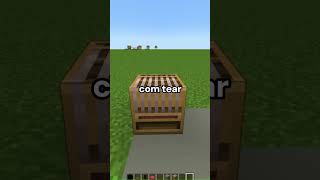 Tv com Netflix Que Funciona no Minecraft