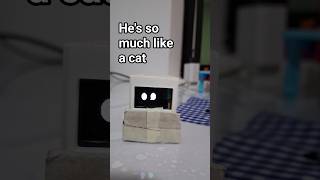 X is like a cat 🐈 #esp32project #robotics