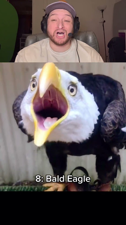 13 SCARIEST BIRD SOUNDS 🦅