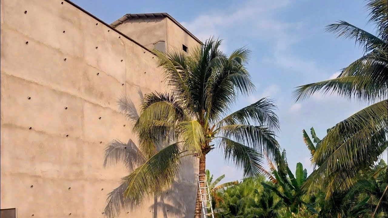 Hoàn thành phần thô đến phần lắp đặt kỹ thuật nhà yến 10*20*3 sàn !