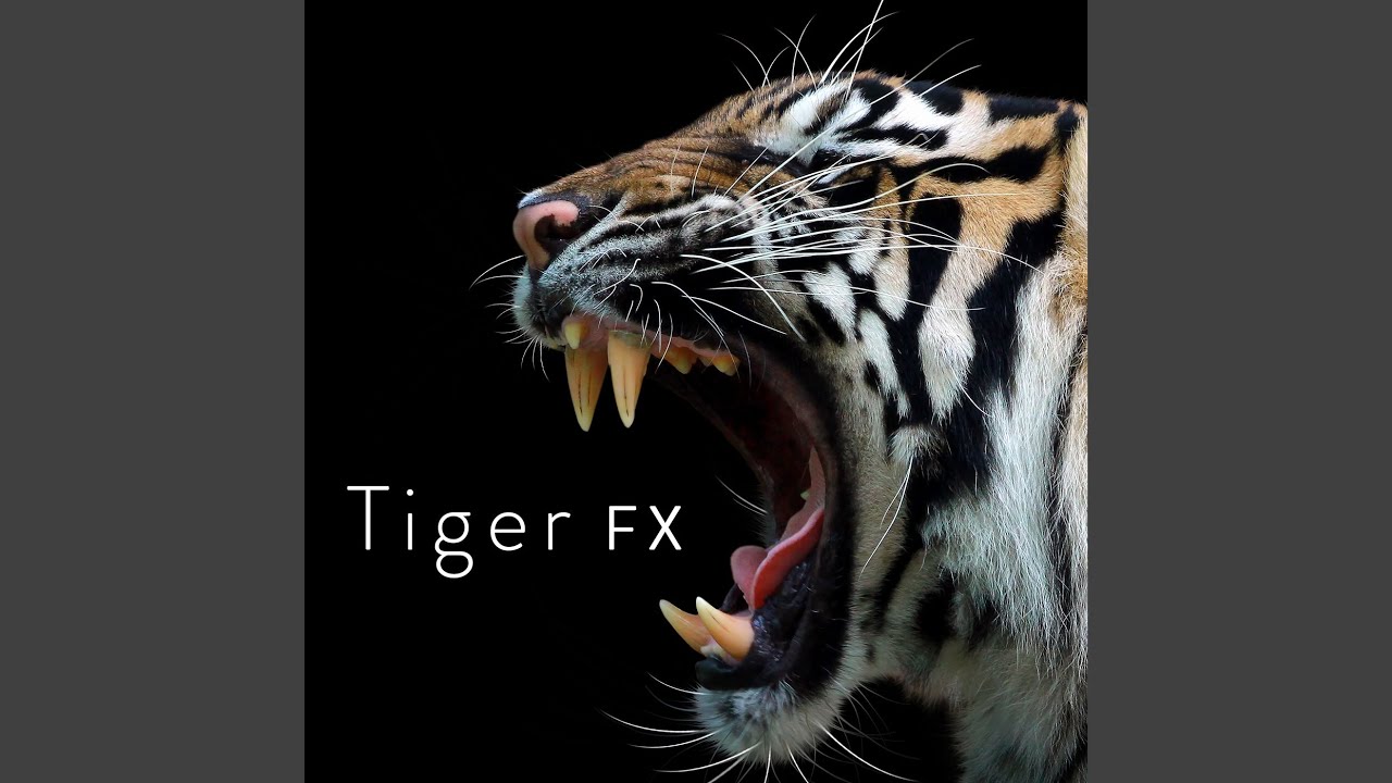 Watch Tiger Moaning on YouTube Watch Tiger Moaning on YouTube