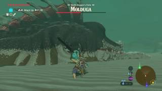 Zelda Breath of the Wild - Molduga Battle