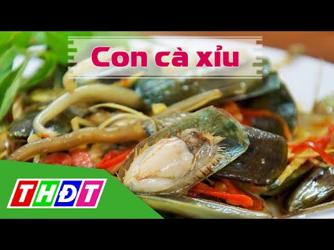 Video THDT - Con cà xỉu - Đặc sản miền sông nước - youtube