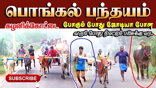 15*01*2024-கழனிக்கோட்டை[பொங்கல்_பந்தயம்] தஞ்சாவூர்(மா) screenshot 4
