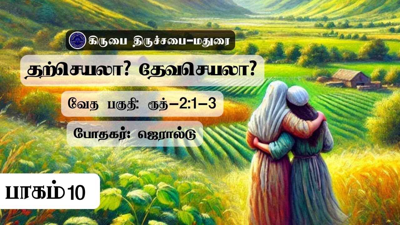 தற்செயலா? தேவசெயலா? | Book of Ruth Tamil Commentary | ரூத் புத்தகத்தின் விளக்கவுரை | Christian Msg