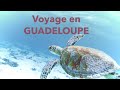 Notre voyage en guadeloupe  magique 