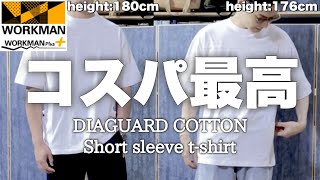 【身長別レビュー】ディアガードコットン半袖Tシャツ ワークマンプラス  30代40代向けメンズファッション