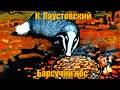 К. Паустовский "Барсучий нос"