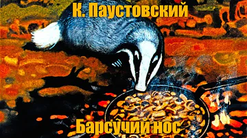 К. Паустовский 