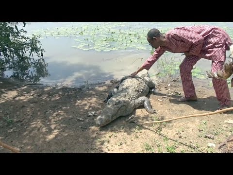 Как в Африке люди дружат с крокодилами