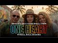 Pitbull x Shakira x Nola | ONE HEART | REGGAE x SKA x EDM