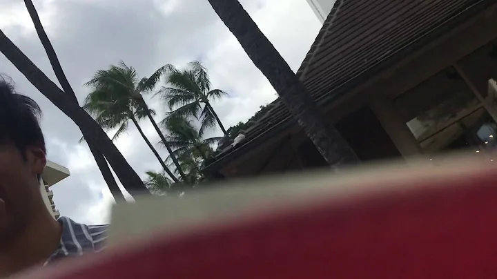 IMAGINE  amazing voice of Dave Reber on Kalkaua Av...