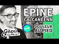 Epine calcanenne