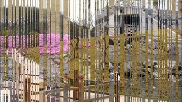 Daegu Gyeongbuk Institute of Science and Technology - DGIST