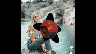 Check lo Room REMIX (Seanrii)2022