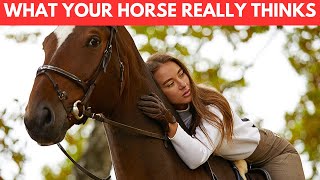 30 Things Your Horse Wishes You Knew