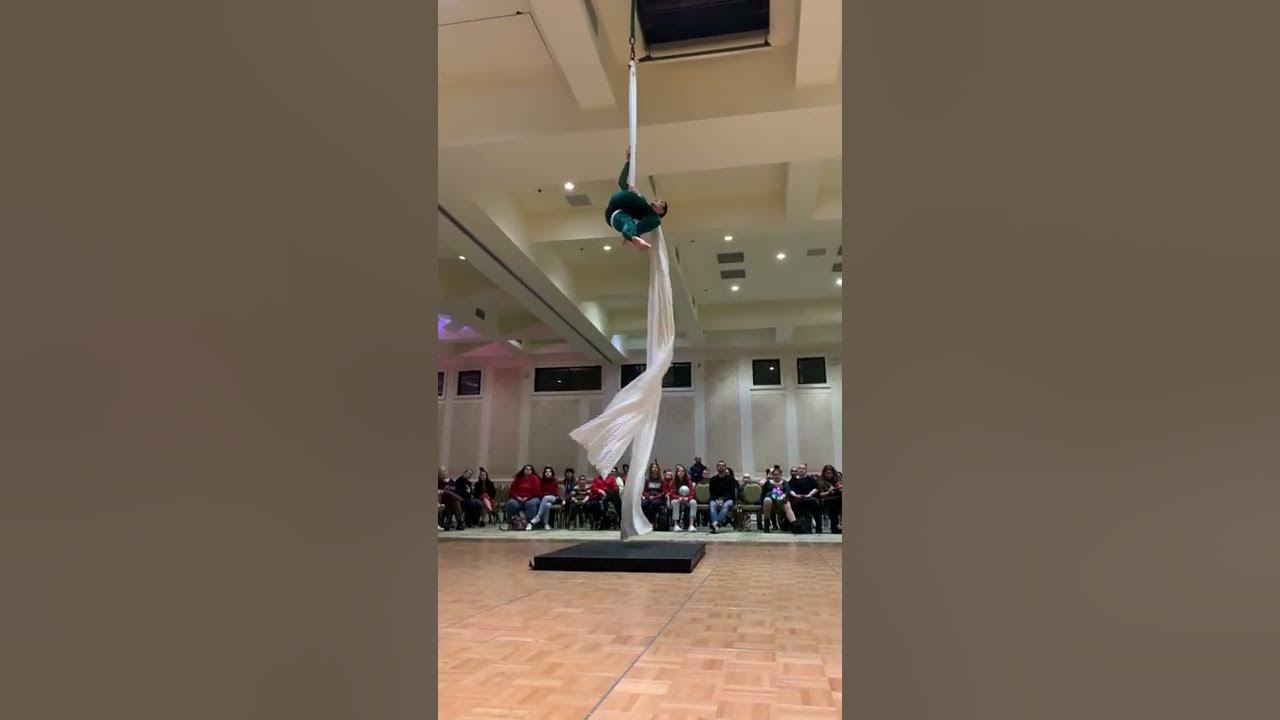 Airotique aerial performers at the Founders inn illumination YouTube