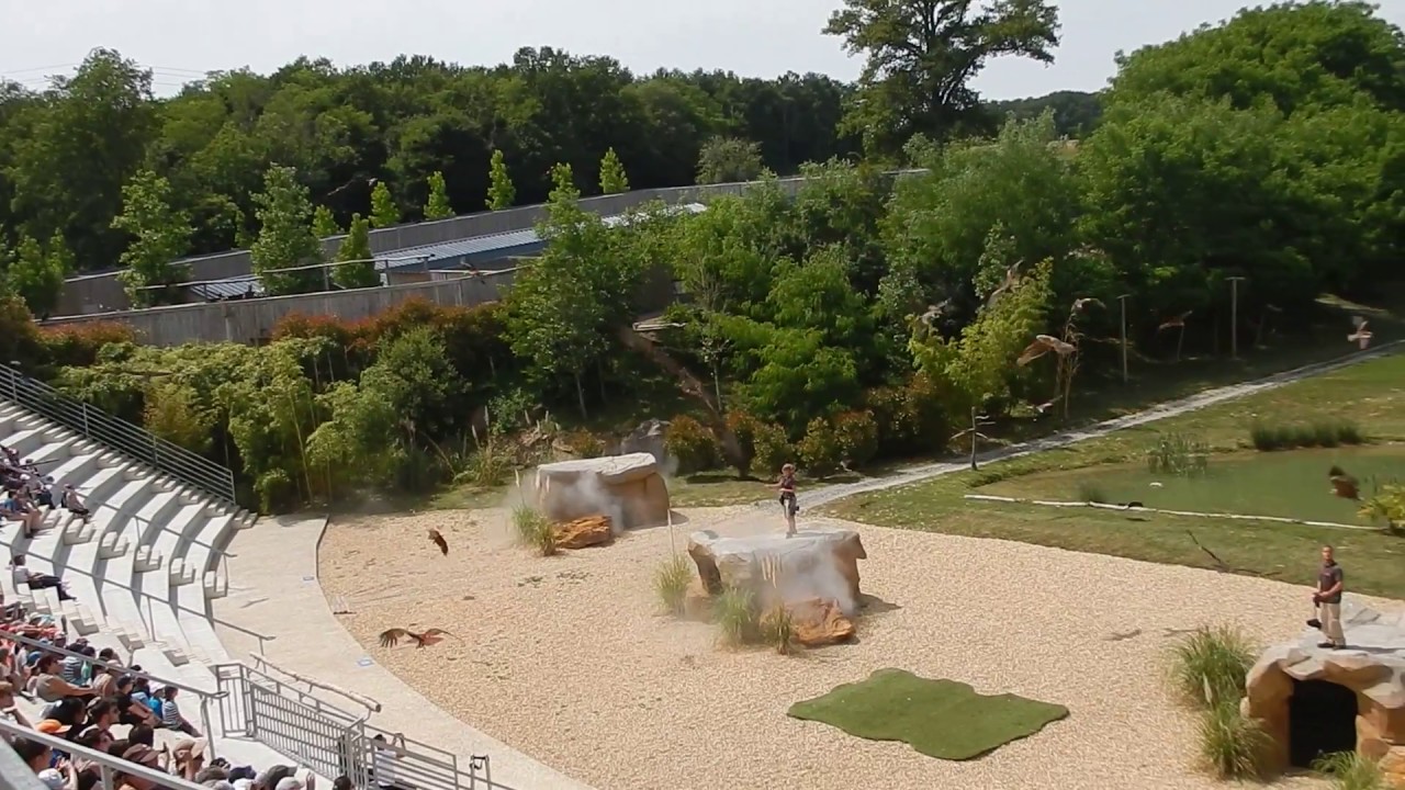 Spectacle d'oiseaux au Zoo de Beauval YouTube Spectacle d'oiseaux au Zoo de Beauval YouTube