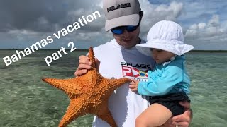 Bahamas Vacation! Cherokee, Abaco Island. Bonefish, Conch, Starfish!