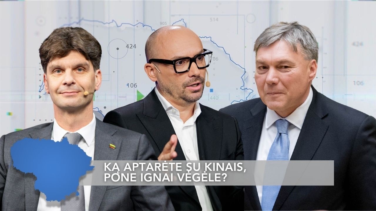 I. Vėgėlės, M. Maldeikio ir D. Varno ginčas: ar teks nusilenkti Kinijai?