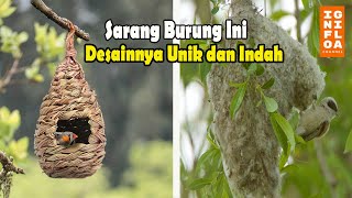 Layaknya Arsitektur, Burung Membuat Desain Sarang yang Eksotis.