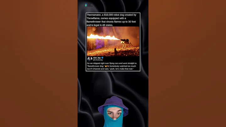 Thermonator, a $10,000 robot dog created by Throwflame, comes equipped with a flamethrower...