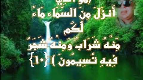 الشيخ عبد السلام الحلاج رحل وبقي صوته استمع الى روعة الأداء من سورةغافر