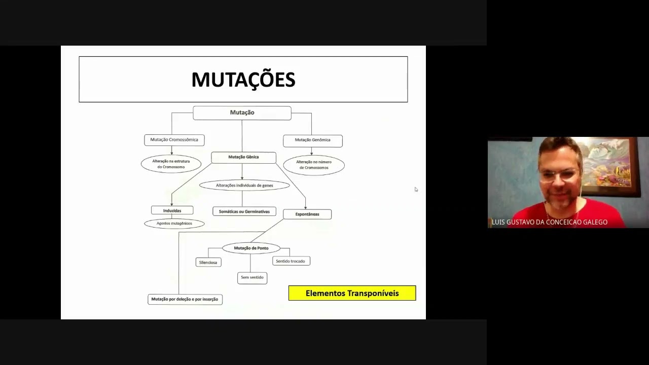 Origem da Variabilidade Genética - Parte3