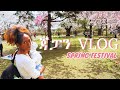 ጃፓን🇯🇵 በግንቦት 🌸🌸🌸| ስፕሪንግ ፌስቲቫል | ሳኩራ | Spring in Japan | Hanami | Flower watching