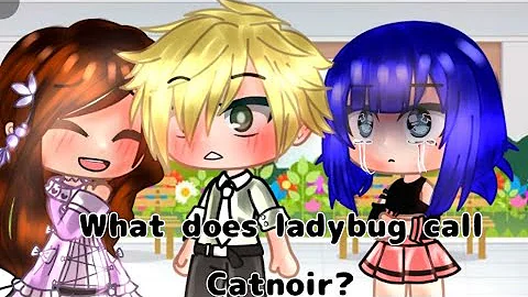 What does Ladybug call catnoir? Meme Miraculous ladybug  [MLB] | Gacha Club