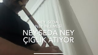 Ney Zi̇yafeti̇. Aşkin Feryadi İle. Ney - Seda Gönlünüz Hoş “0”La.. Abone Olmayı Ihmal Etmeyiniz.